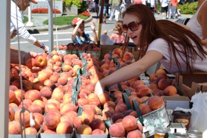 A small part of the Niagara peach harvest.