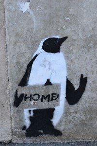 Homing Penguin graffiti 